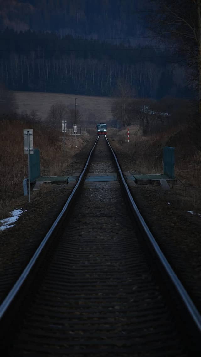 Šumava Forest Railway - Image 1