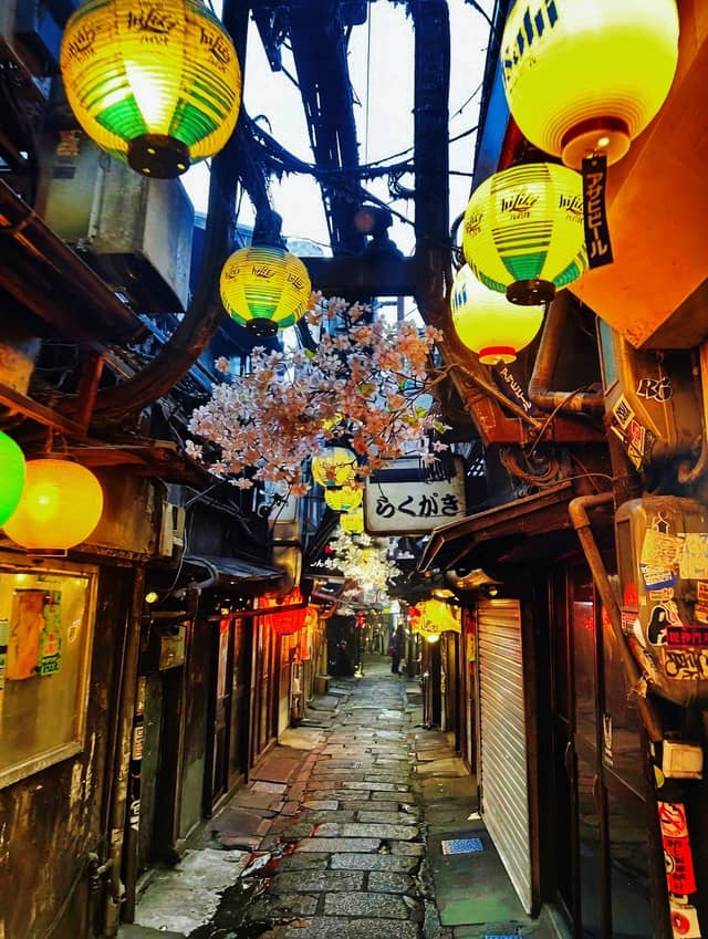 Omoide Yokocho (Memory Lane) - Image 1