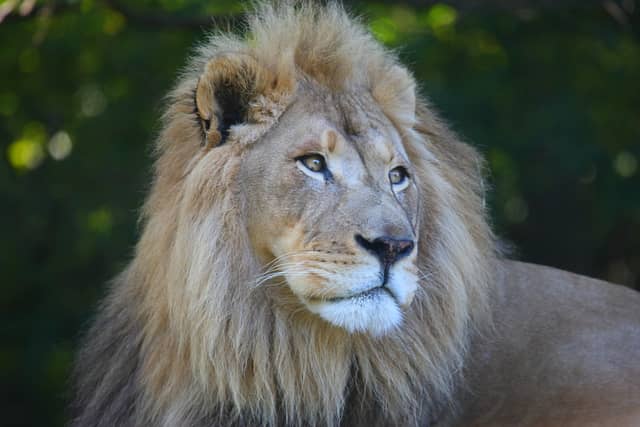 Woodland Park Zoo - Image 1
