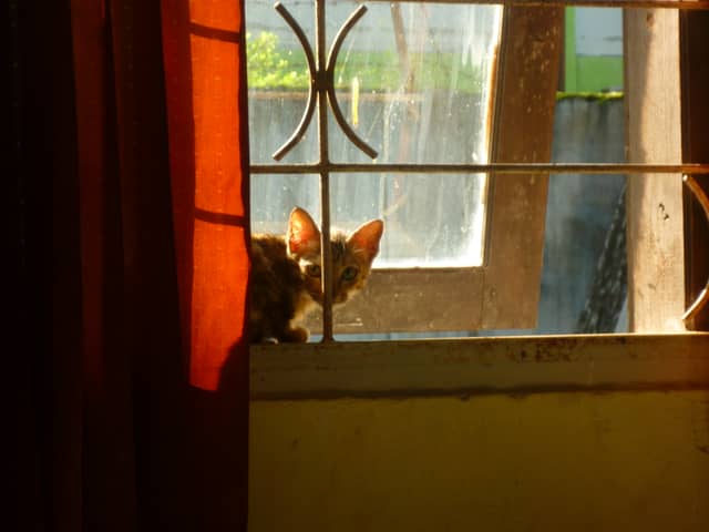Subang Golden Hour Window - Image 1