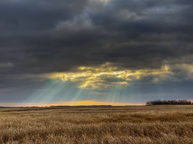 Churchs Ferry Prairie Vista - Image 1