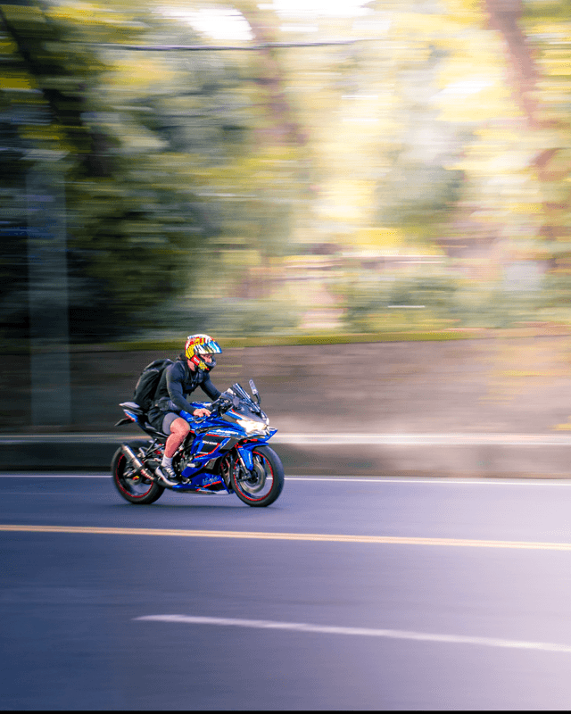 Denpasar Forest Roadway - Image 1