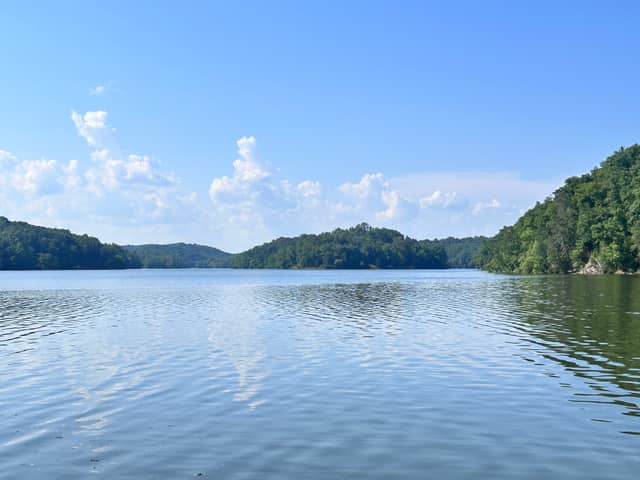 Lake Wateree Shoreline - Image 1