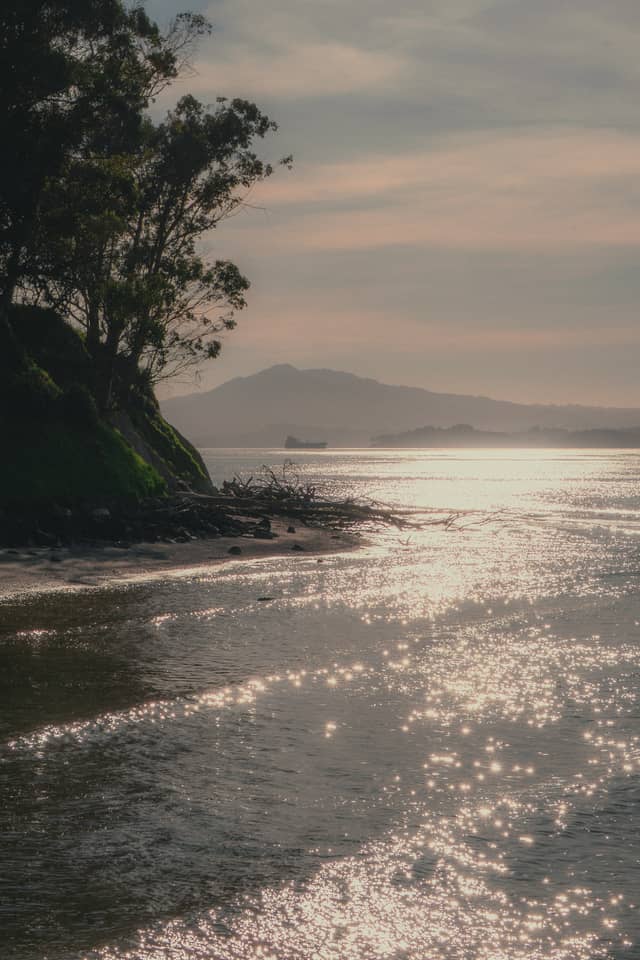 Point Pinole Regional Shoreline - Image 1