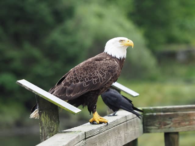 Juneau Waterfront - Image 1