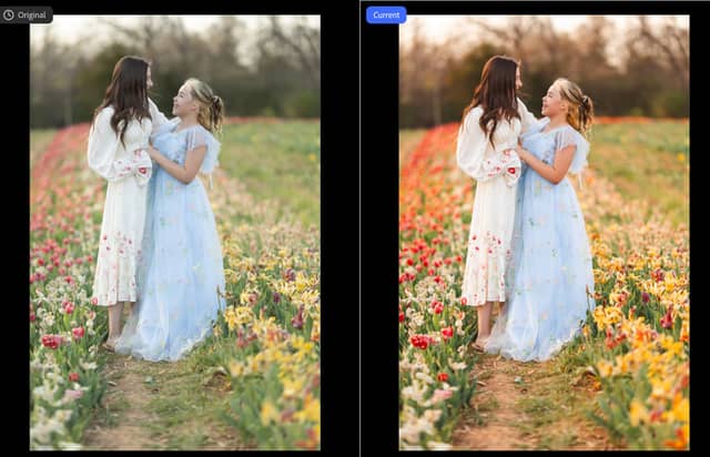 True Colors Farm - Image 1