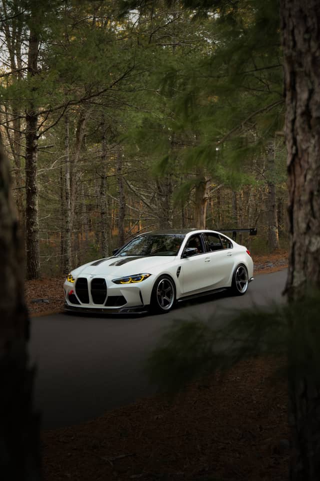 Myles Standish State Forest Road - Image 1