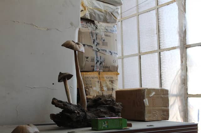 Kemankeş Art Workshop - Image 1