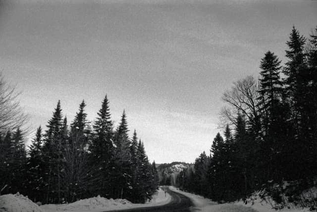 Damascus Forest Road - Image 1