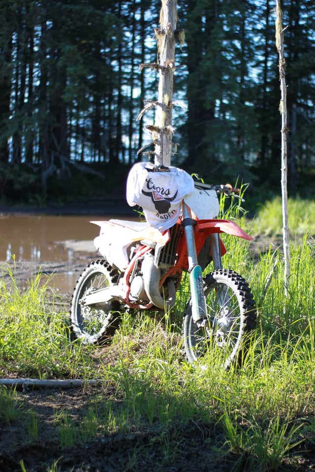 Echo Cove Forest Trails - Image 1