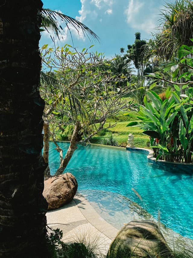 Tropical Garden Pool, Deli Serdang - Image 1