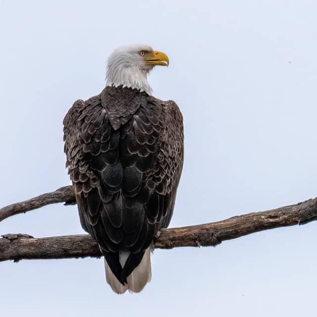 Delaware and Raritan Canal State Park - Image 1