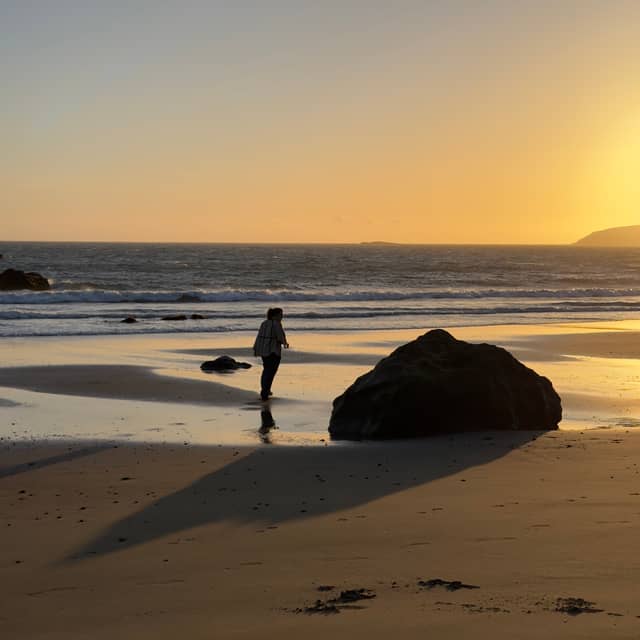 Bodega Bay Coastline - Image 1