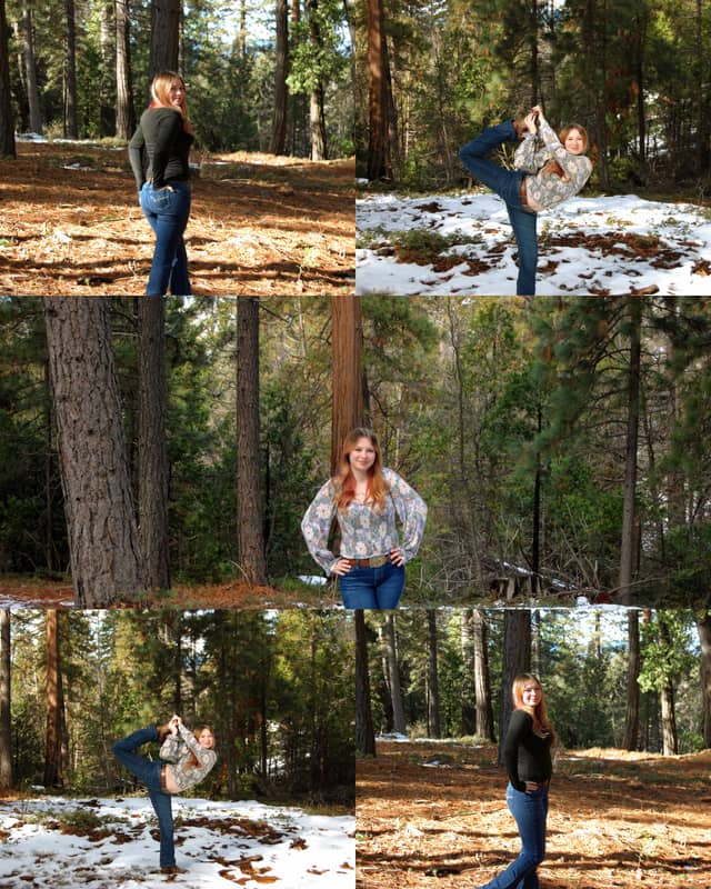 Stanislaus National Forest Pine Grove - Image 1