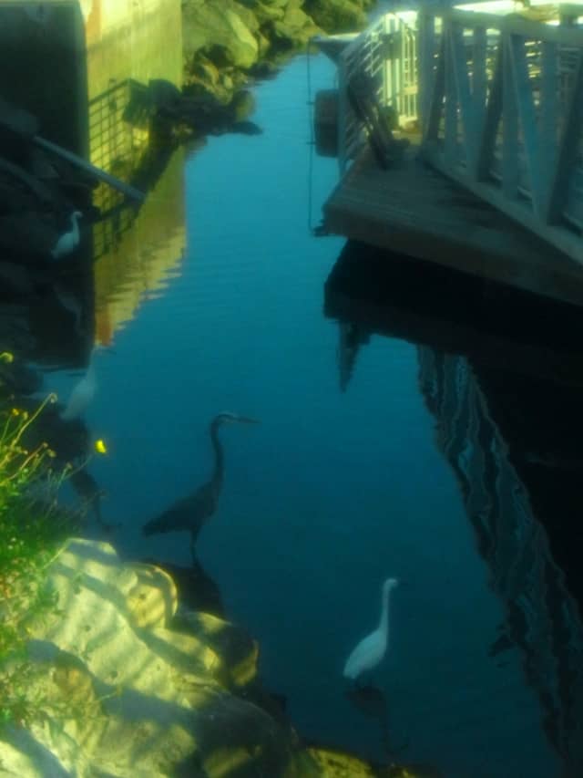 Santa Barbara Harbor - Image 1