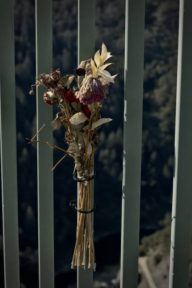 Foresthill Bridge - Image 1