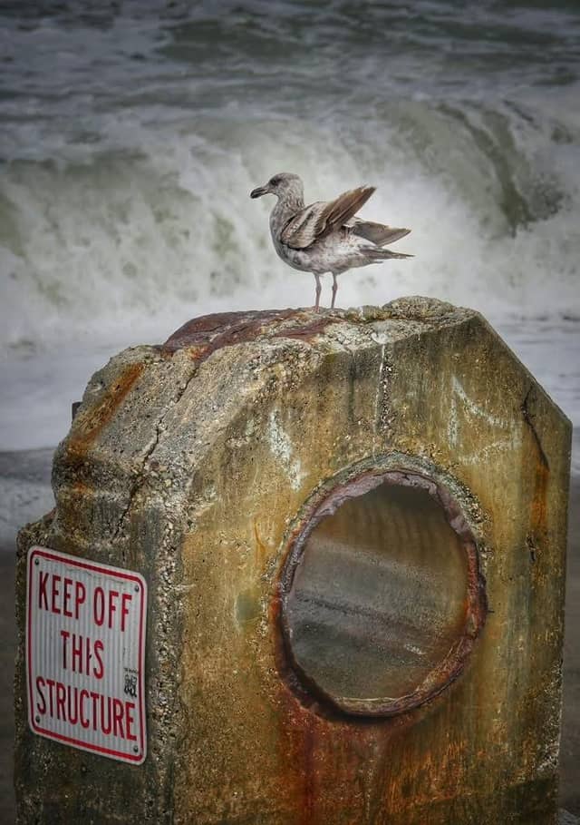 Sharp Park Beach - Image 1