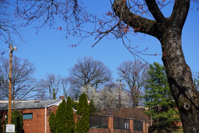 Silver Spring Suburban Neighborhood - Image 1