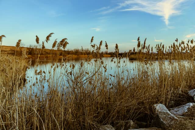 Richard W. DeKorte Park - Image 1