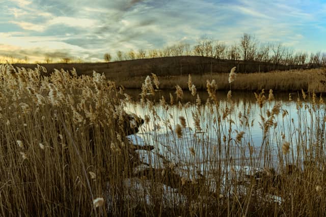 Richard W. DeKorte Park - Image 1