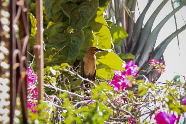 Clematis Street Waterfront - Image 1