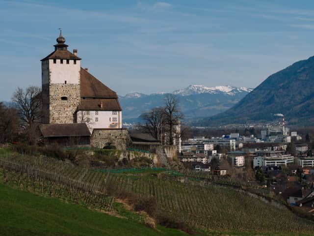 Schloss Werdenberg - Image 1