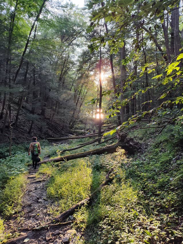 Allegheny Woodland Trail - Image 1
