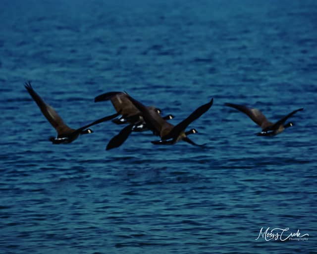 Lake Roosevelt National Recreation Area - Image 1