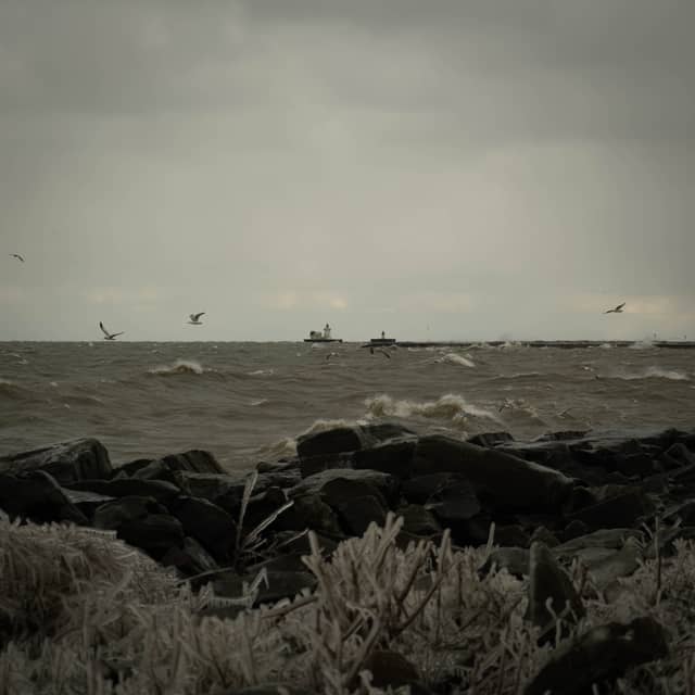 Edgewater Park Shoreline - Image 1