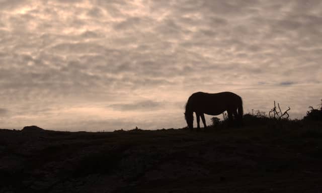 Bodmin Moor - Image 1