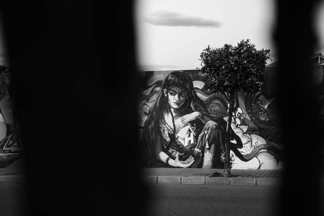 Torrevieja Urban Art Mural - Image 1