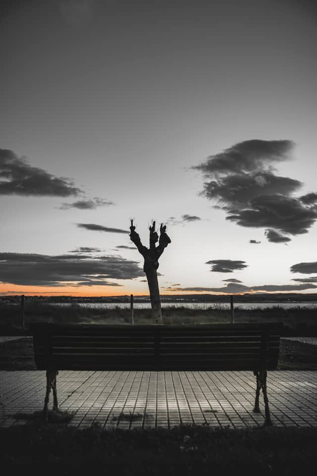 Torrevieja Lakeside Promenade - Image 1