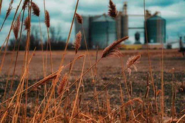 Carrington Grain Elevators - Image 1
