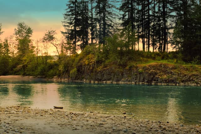 Cowlitz River Bank - Image 1