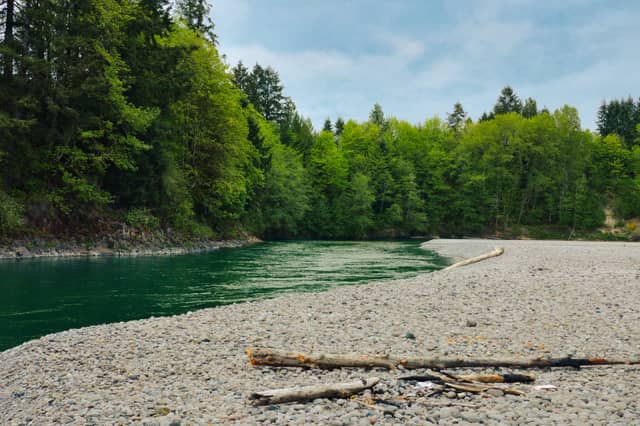 Cowlitz River Gravel Bar - Image 1