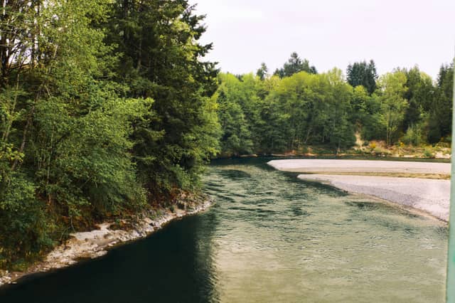 Cowlitz River Bend - Image 1