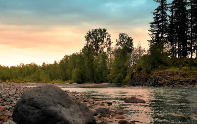 Cowlitz River Bank - Image 1