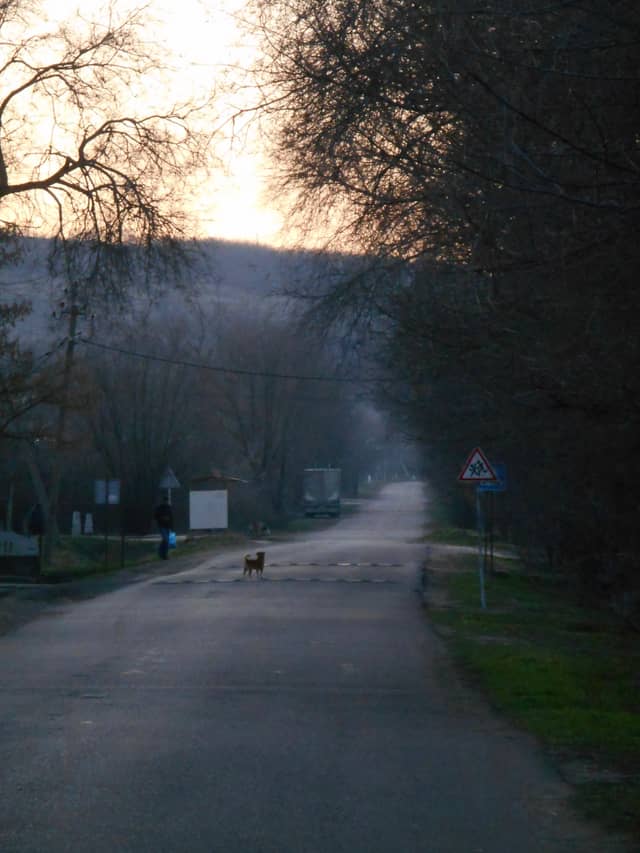 Artsyz Country Road - Image 1