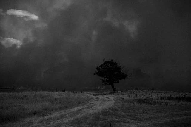 Artsyz Lone Tree Landscape - Image 1