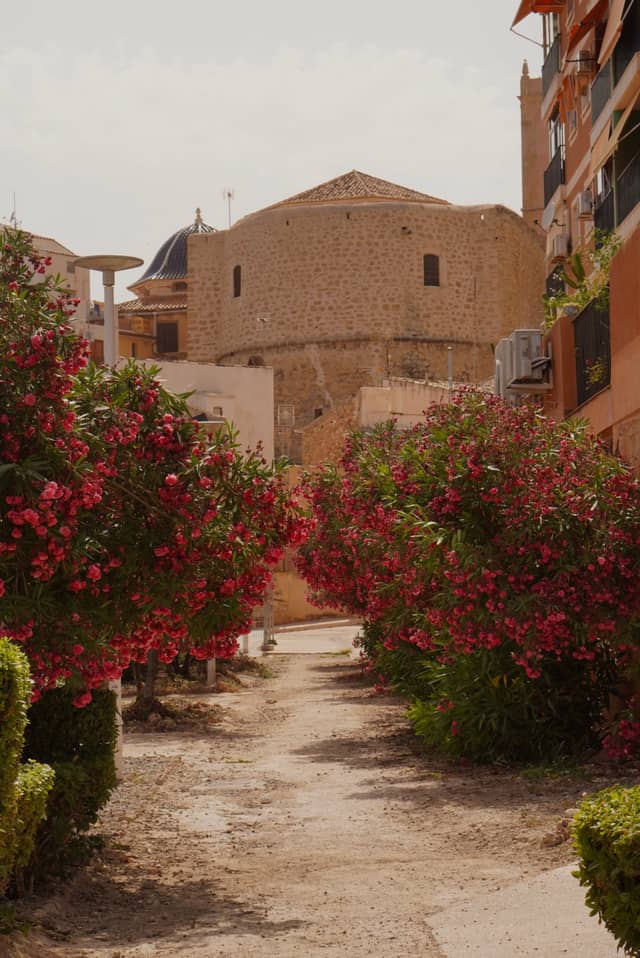 Villajoyosa Old Town Path - Image 1