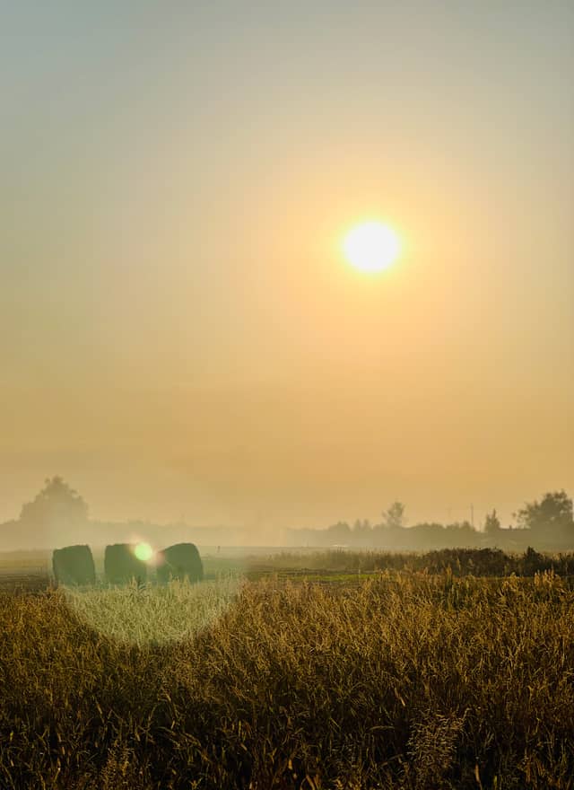 Rechitsa Rural Fields - Image 1
