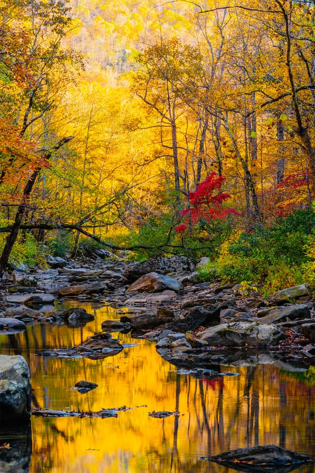 Falling Water Creek - Image 1