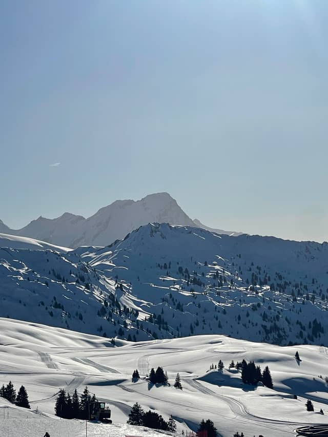 Leiterli Alpine View - Image 1