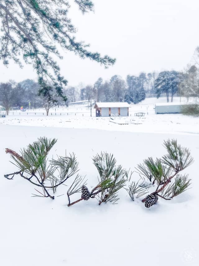 Possum Valley Winter Landscape - Image 1