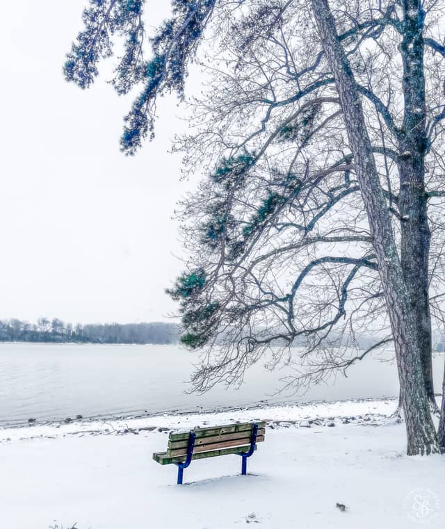 Concord Park Lakefront - Image 1