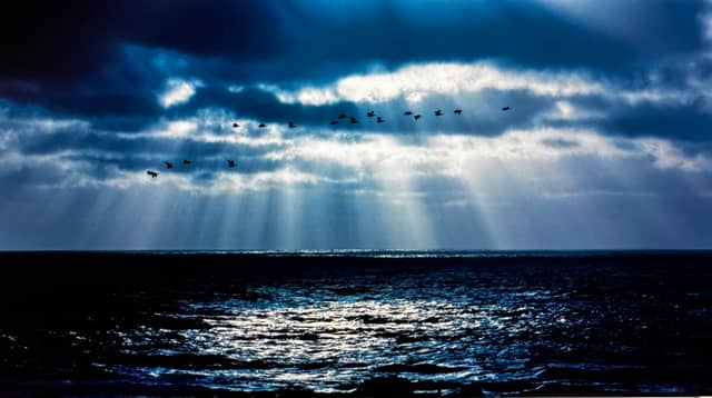 Asilomar State Beach Coastline - Image 1