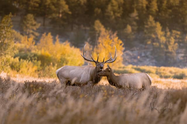 Moraine Park - Image 1