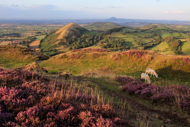 Long Mynd Overlook - Image 1