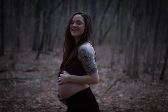 Wawayanda State Park Woods - Image 1