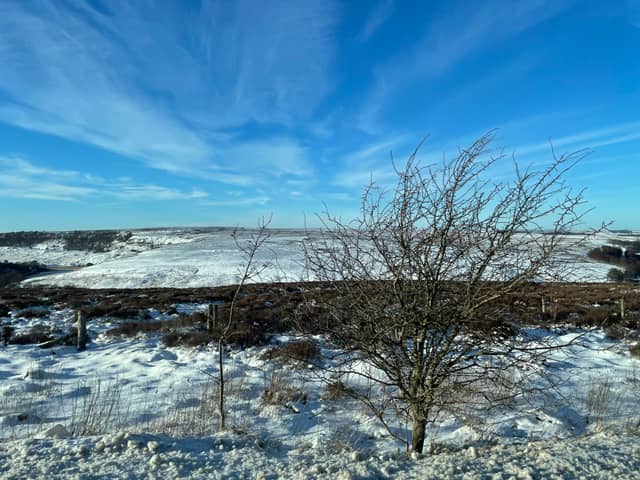 Bolsterstone Moorland Overlook - Image 1